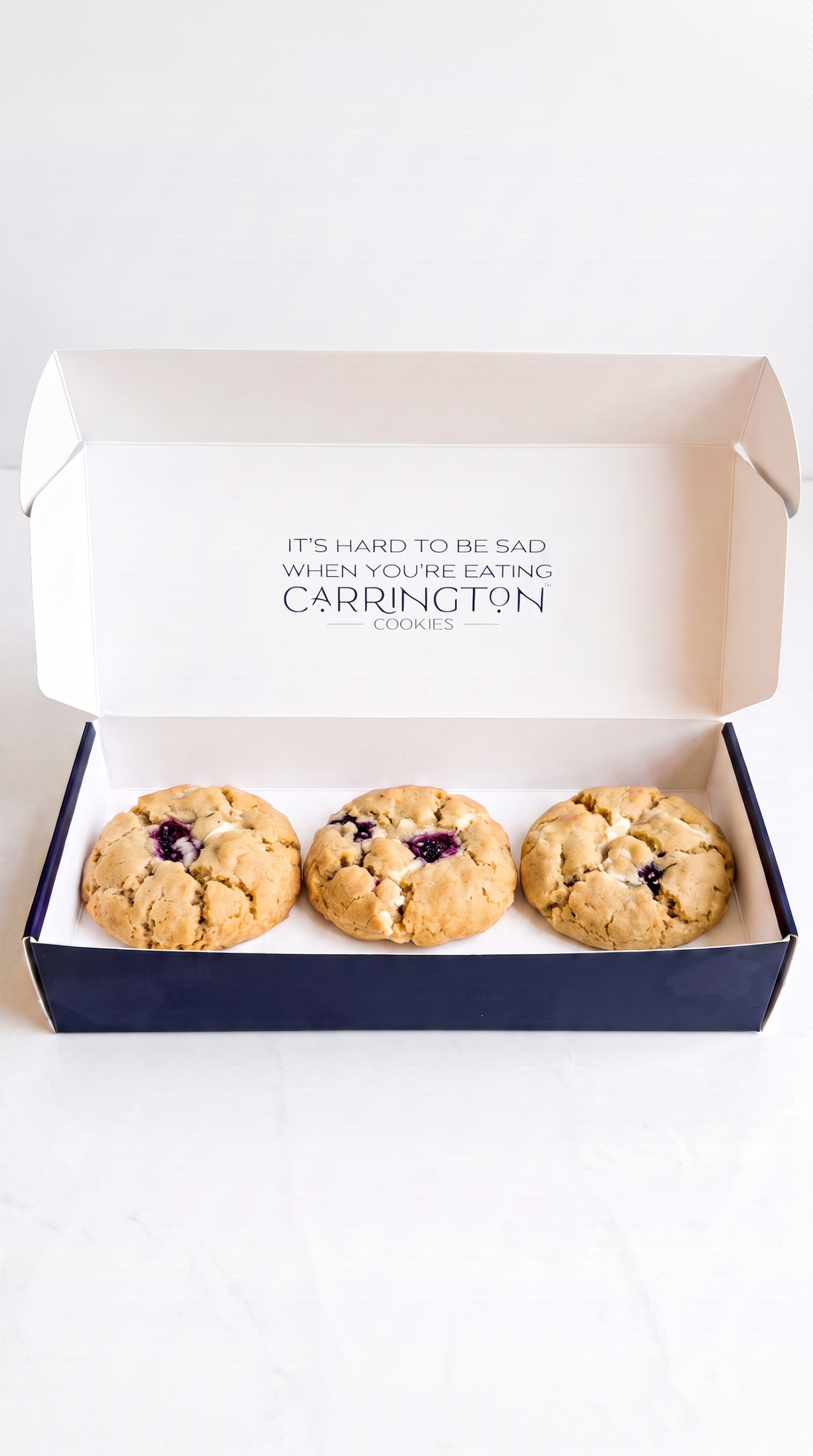 Limited Edition (Box of 3): Gourmet Blackberry Cheesecake